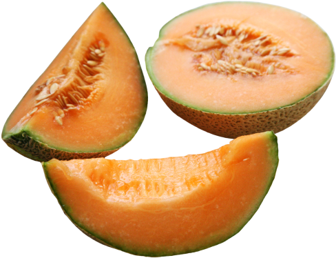 Cantaloupe Clipart Transparent - Cantaloupe (1120x874)