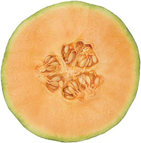 Honeydew Clipart Yellow Melon - Honeydew (500x500)