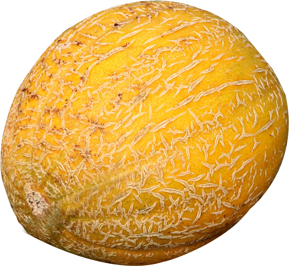 Cantaloupe Clipart Transparent - Cantaloupe (1000x931)