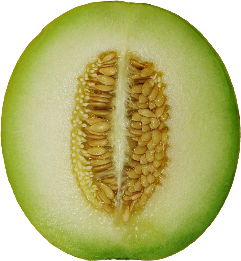 Gourd Clipart Winter Melon - Winter Melon Png (1017x1088)