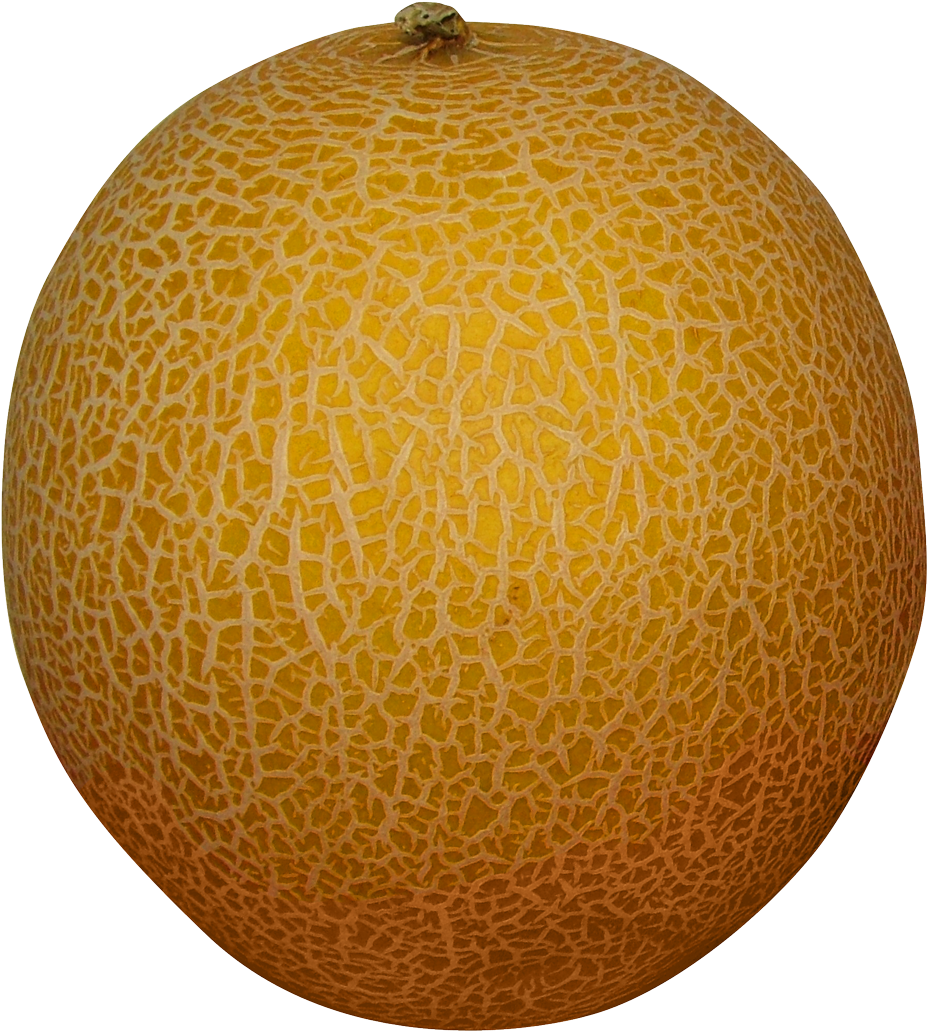 Download - Cantaloupe Fruit Transparent Background (1017x1100)