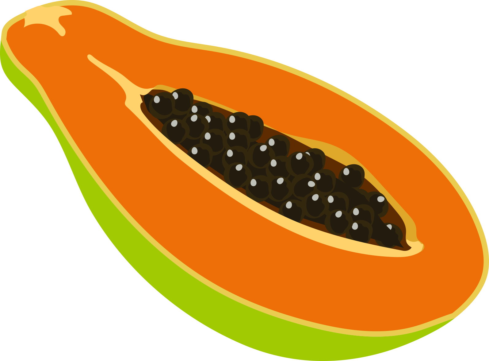 Papaya Clipart Las - Papaya (1595x1176)