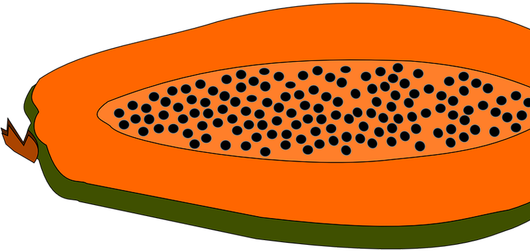 Papaya Clipart Las - Clipart Papaya (772x456)