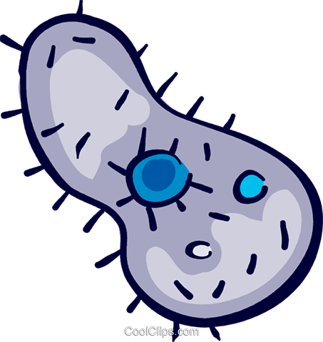 Microorganisms Royalty Free Vector Clip Art Illustration - Microorganism (453x480)
