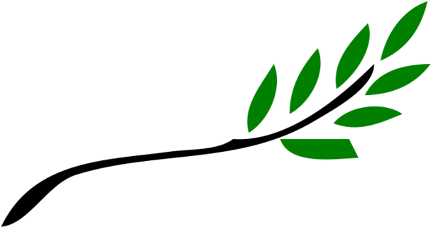 The Olive Branch Petition - Olive Branch Free Clip Art (640x344)