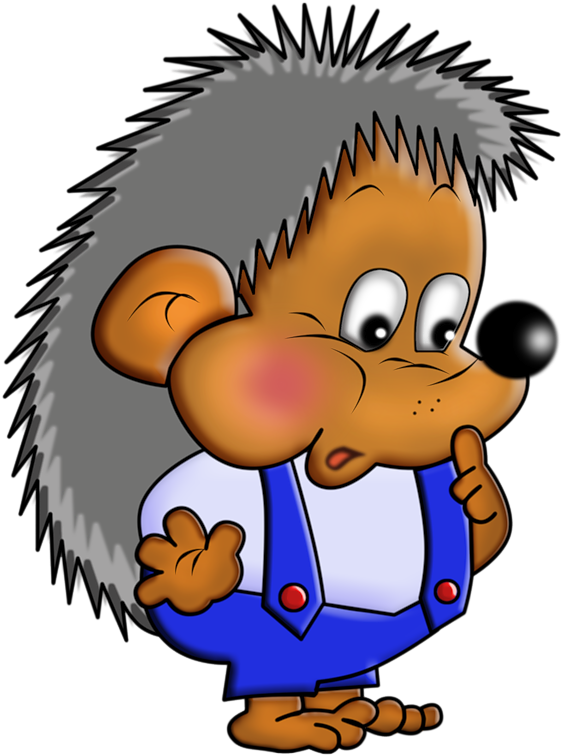 Album - Hedgehog Clipart Free (800x800)