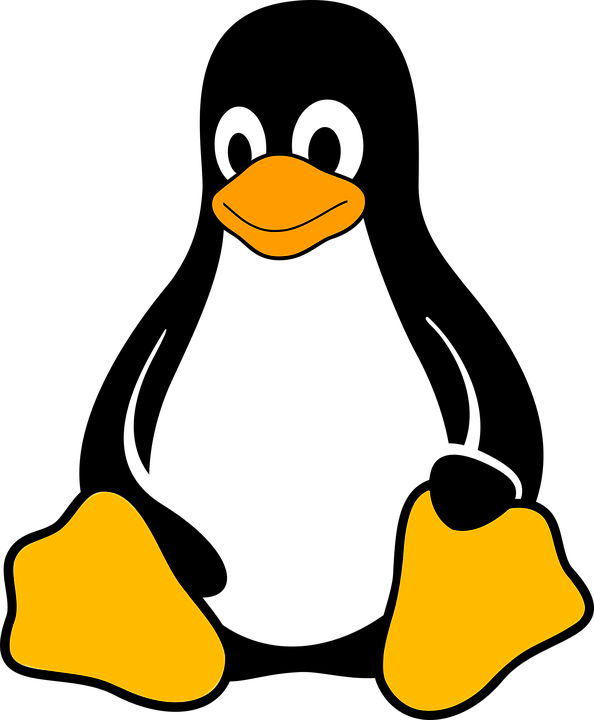 Penguin Clipart Profile - Linux Logo Vector (594x720)