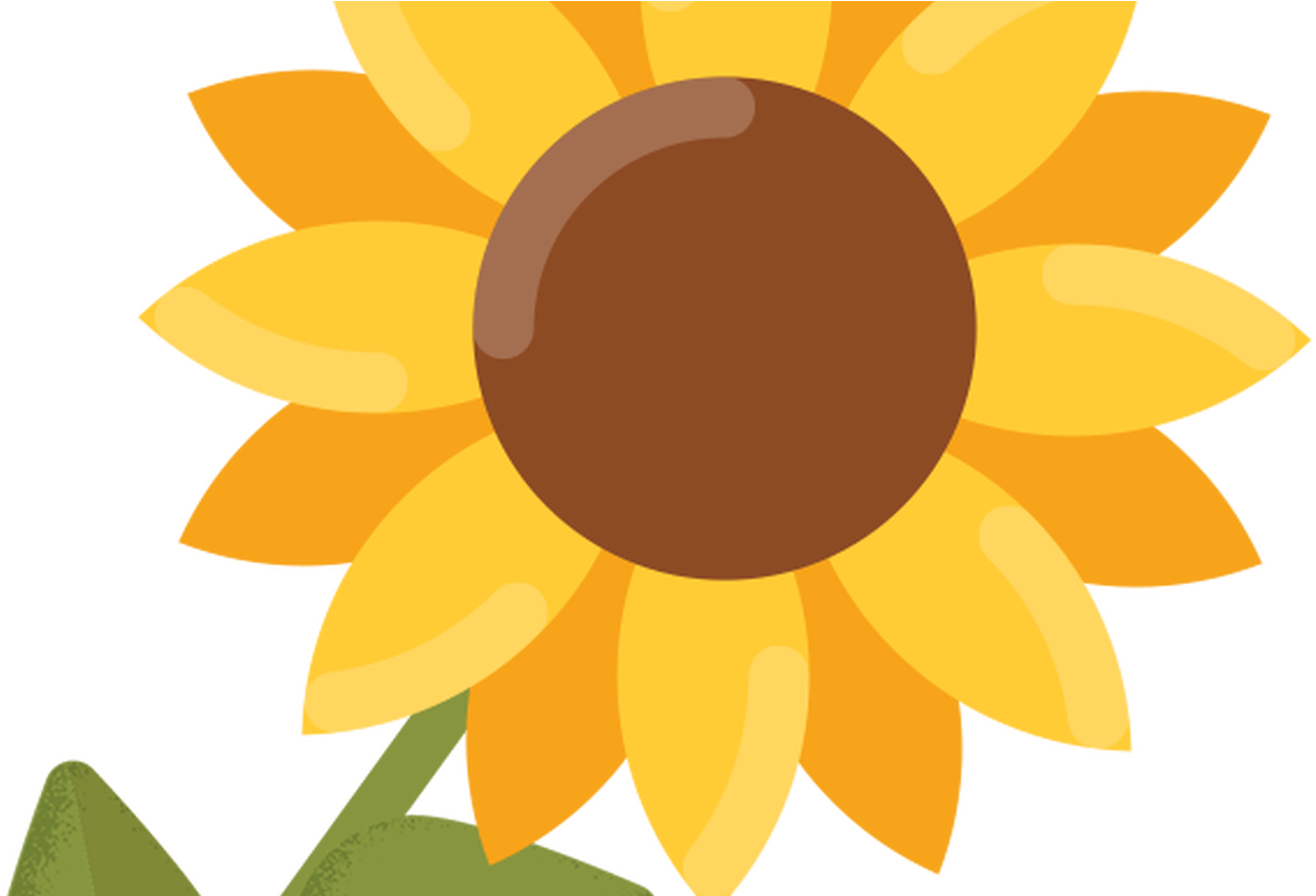 New 50 Free Sunflower Clipart Images - Clip Art (1368x855)
