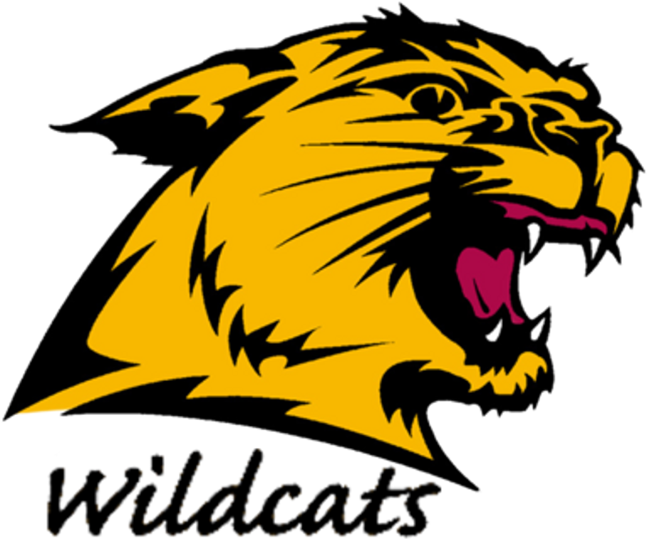Nmu Athletics Logo Nmu Football - Northern Michigan Wildcats Logo (911x768)