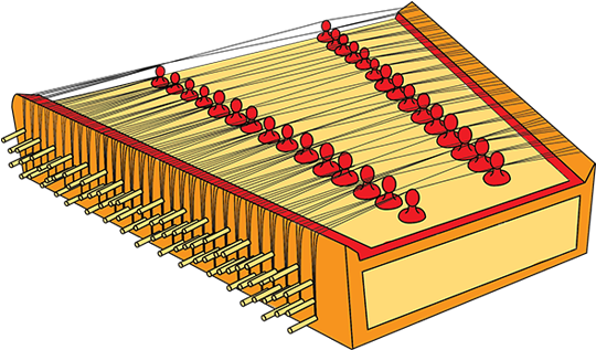 The Harmonium - Musical Instrument (588x345)