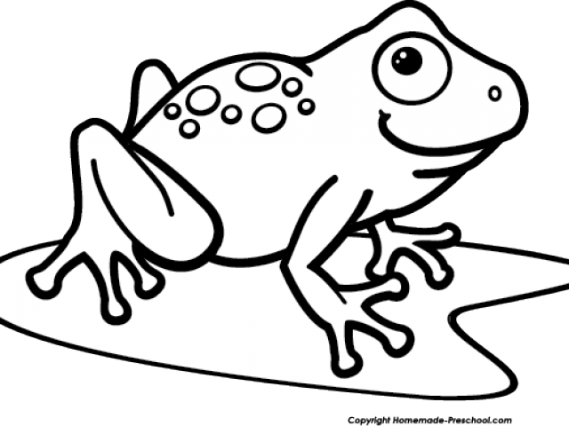 Monochrome Clipart Frog - Frogs On A Lily Pad Drawing (640x480)