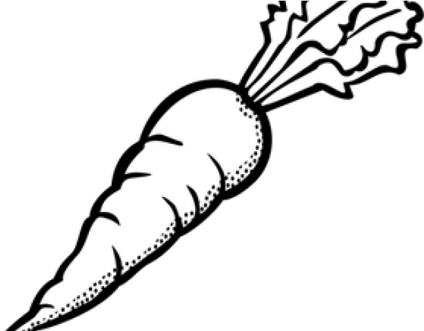 Monochrome Clipart Carrot - Carrot Coloring Pages (640x480)