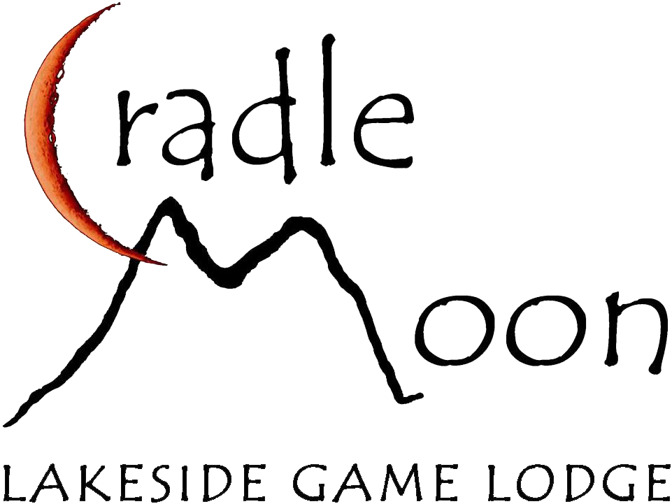 Escuela De Artes Buap (1086x784)