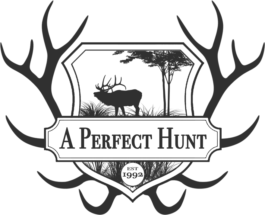 Helping Big Game Hunters Find A Perfect Hunt - Deer Bible Verse (900x900)