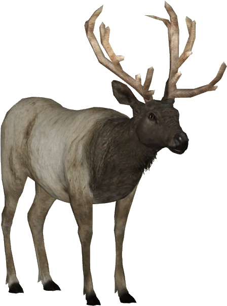 Zoo Tycoon Elk (603x603)