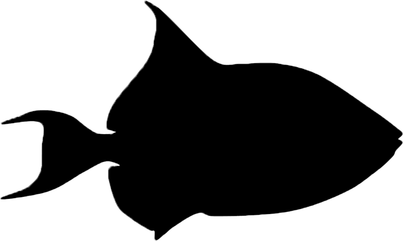 Posts During April 2013 For Bigwhale - Silhouette Of A Fish (1621x1014)