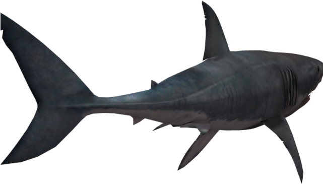 Great White Shark Clipart Blank Background - Shark Fintransparent (640x480)