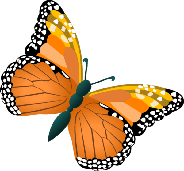 Clipart Butterflies - Dibujos Animados Con Mariposas (600x555)