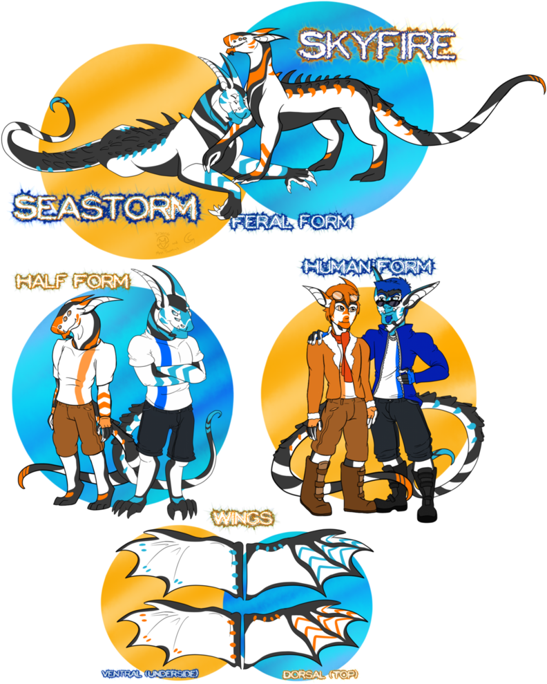 B - 2992956524 - 692 - 1 Kb, V - 2 - 5, A Storm At - Storm (798x1001)