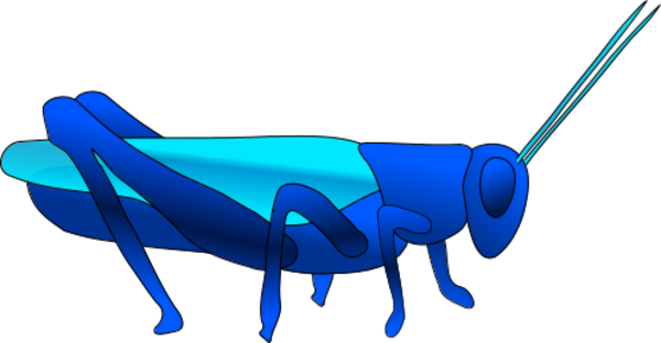 Grasshopper Insect Vector Clip Art - Animated Grasshopper Image Transparent Background (600x312)