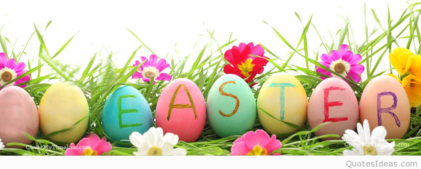 Easter Grass Eggs Png High-quality Image - Easter Grass Eggs Png High-quality Image (851x342)