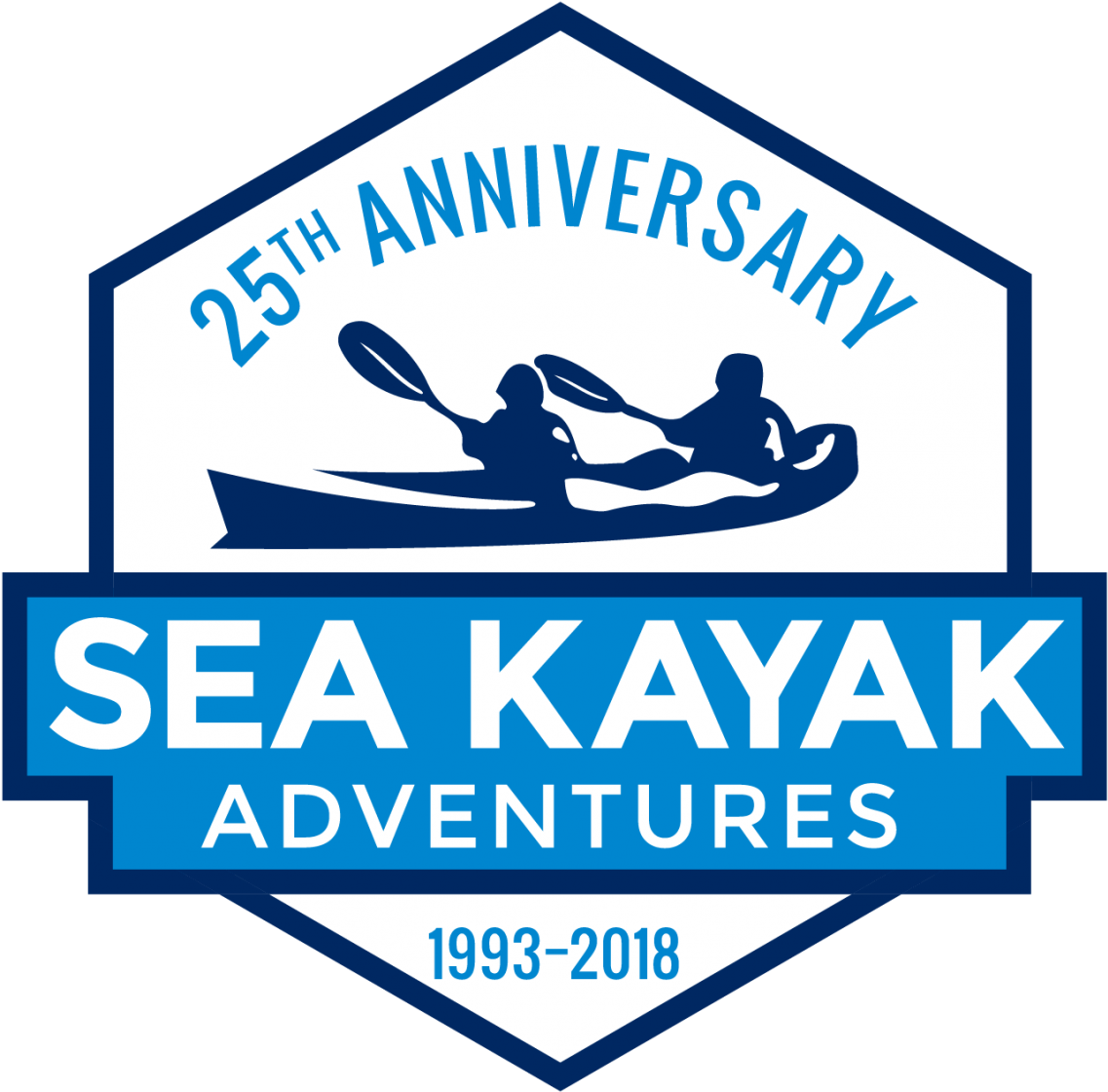 Orcas Near Kayakers In Johnstone Strait - Johnstone Strait (1200x1185)