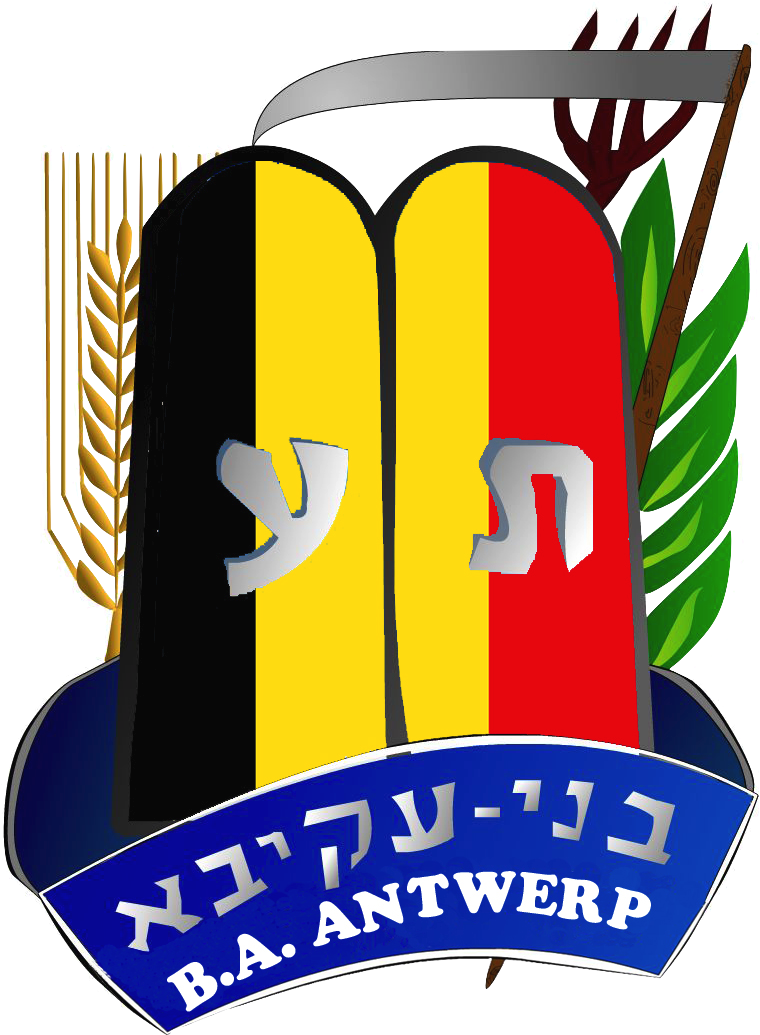 Benji Wajsberg Send Email - Bnei Akiva (800x1050)
