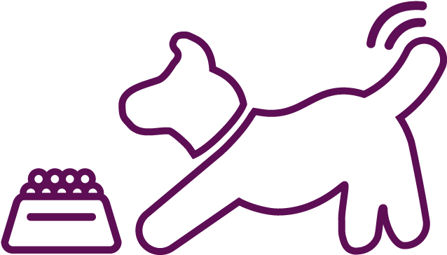 Witness Their Pets Enjoy Their Food - Witness Their Pets Enjoy Their Food (726x425)