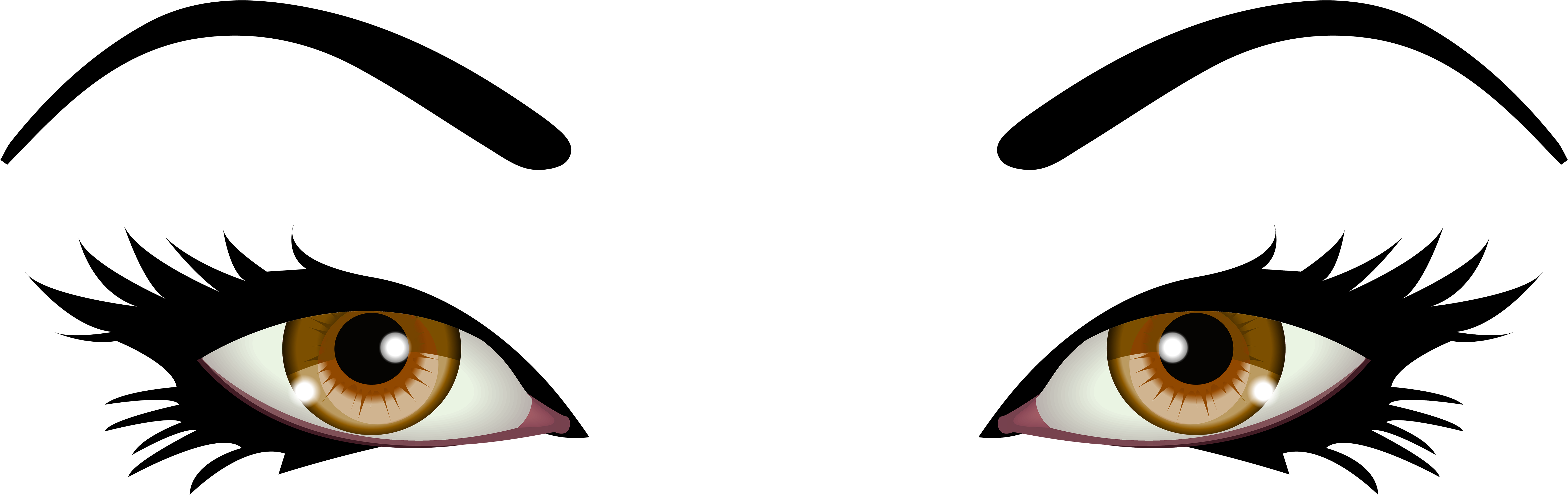 Brown Female Eyes Png Clip Art - Brown Eyes Clipart Png (6000x1950)