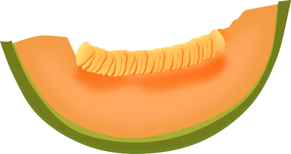 Melon Slice Cliparts - Cantaloupe Clipart (600x319)