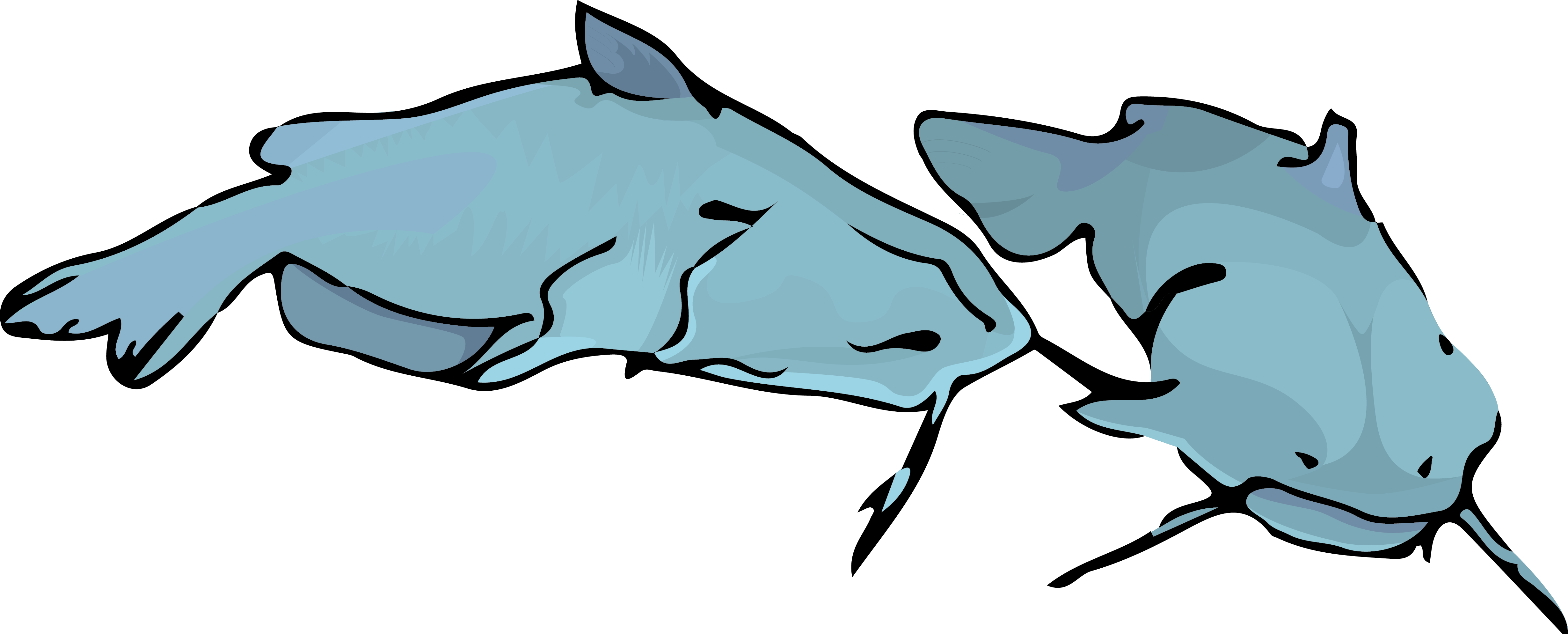 Channel Catfish - Channel Catfish (4919x1988)