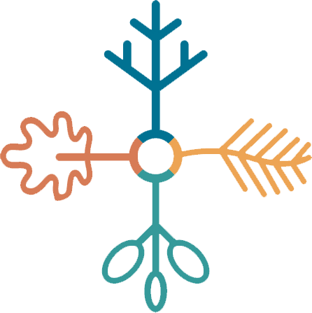 Cold Weather Bussing/patrols/indoor Recess - Copo De Nieve Dibujo (446x447)