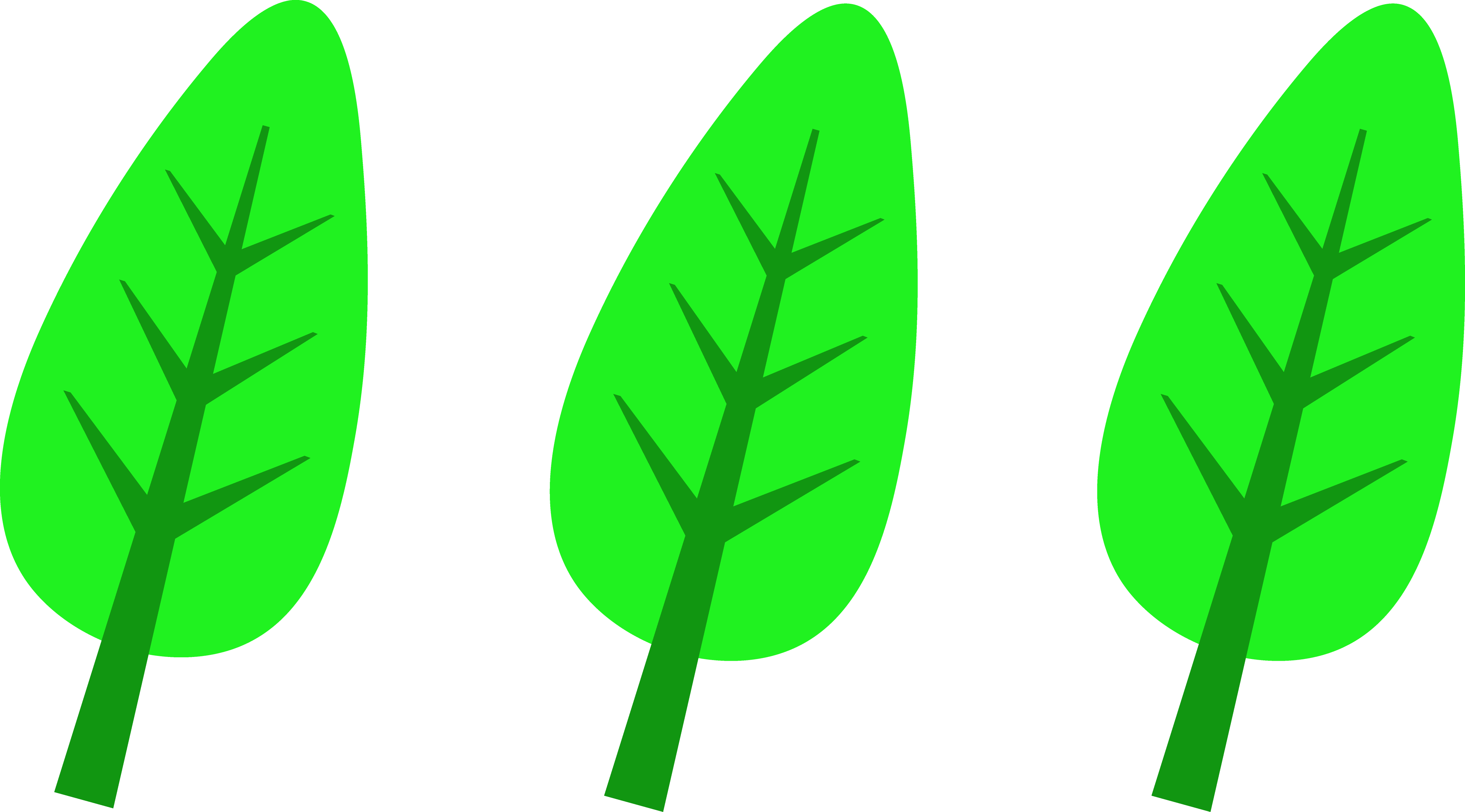 Free Cute Leaf Cliparts, Download Free Clip Art, Free - Green Cartoon Leaves (4260x2362)