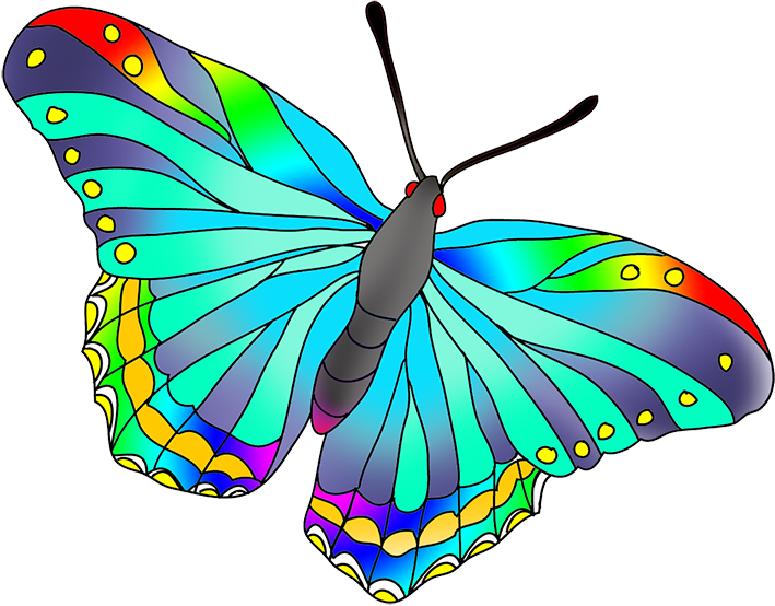 Different Colours Of Butterflies (709x554)
