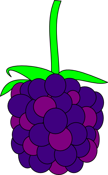 Blackberry Clipart - Blackberry Clip Art Png (372x599)