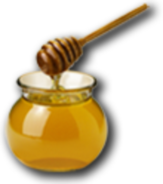 Honey - 365 Tips Sehat Ala Rasulullah (532x600)