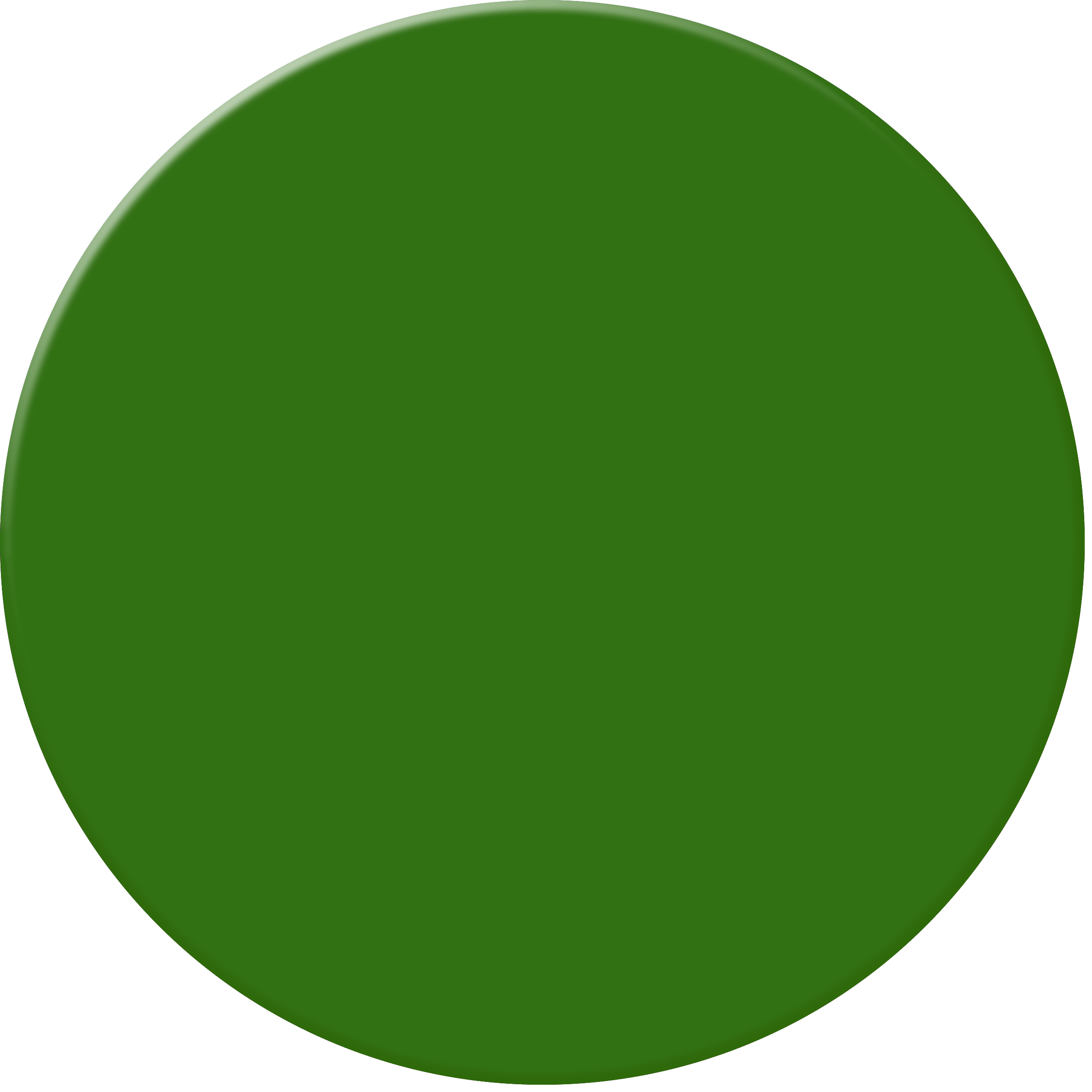 Green Ball Image - Circle (2400x2400)