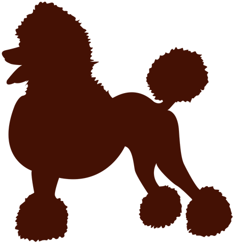 Perro Clipart Transparent - Poodle Svg (512x512)