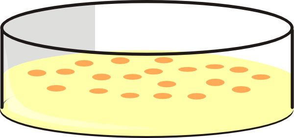 Cho Cell Petri Dish2 Yellow Medium Clip Art - Cell Culture Clip Art (600x282)