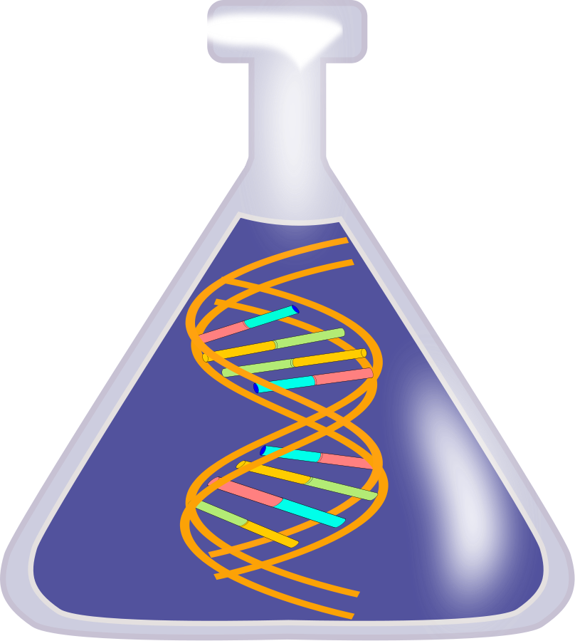 Dna Nucleic Acid Double Helix Free Content Clip Art - Dna Nucleic Acid Double Helix Free Content Clip Art (808x900)