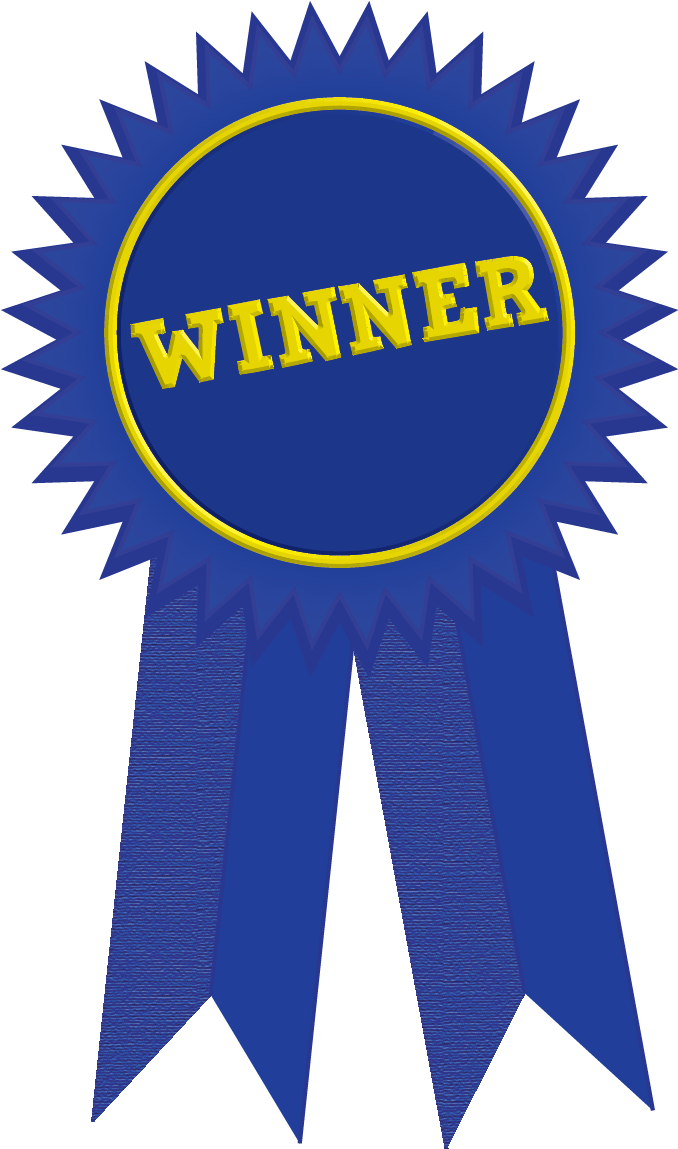 Blue Ribbon Png Free Download - Winner Ribbon (737x1298)