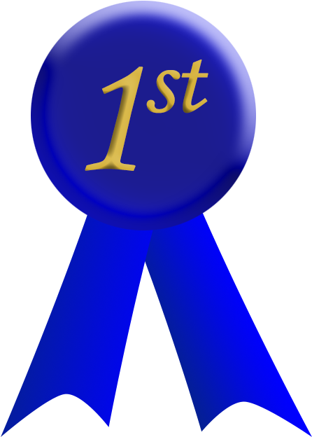 First Place Blue Ribbon - First Place Blue Ribbon (500x650)