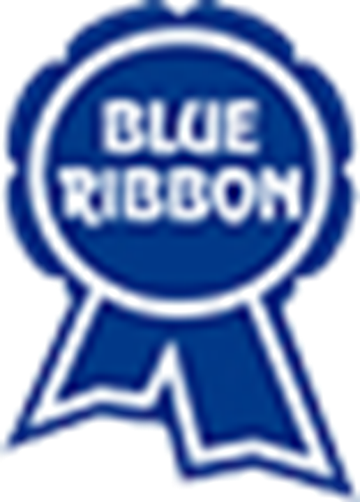 Blue-ribbon Panamá - Logo Blue Ribbon (516x719)