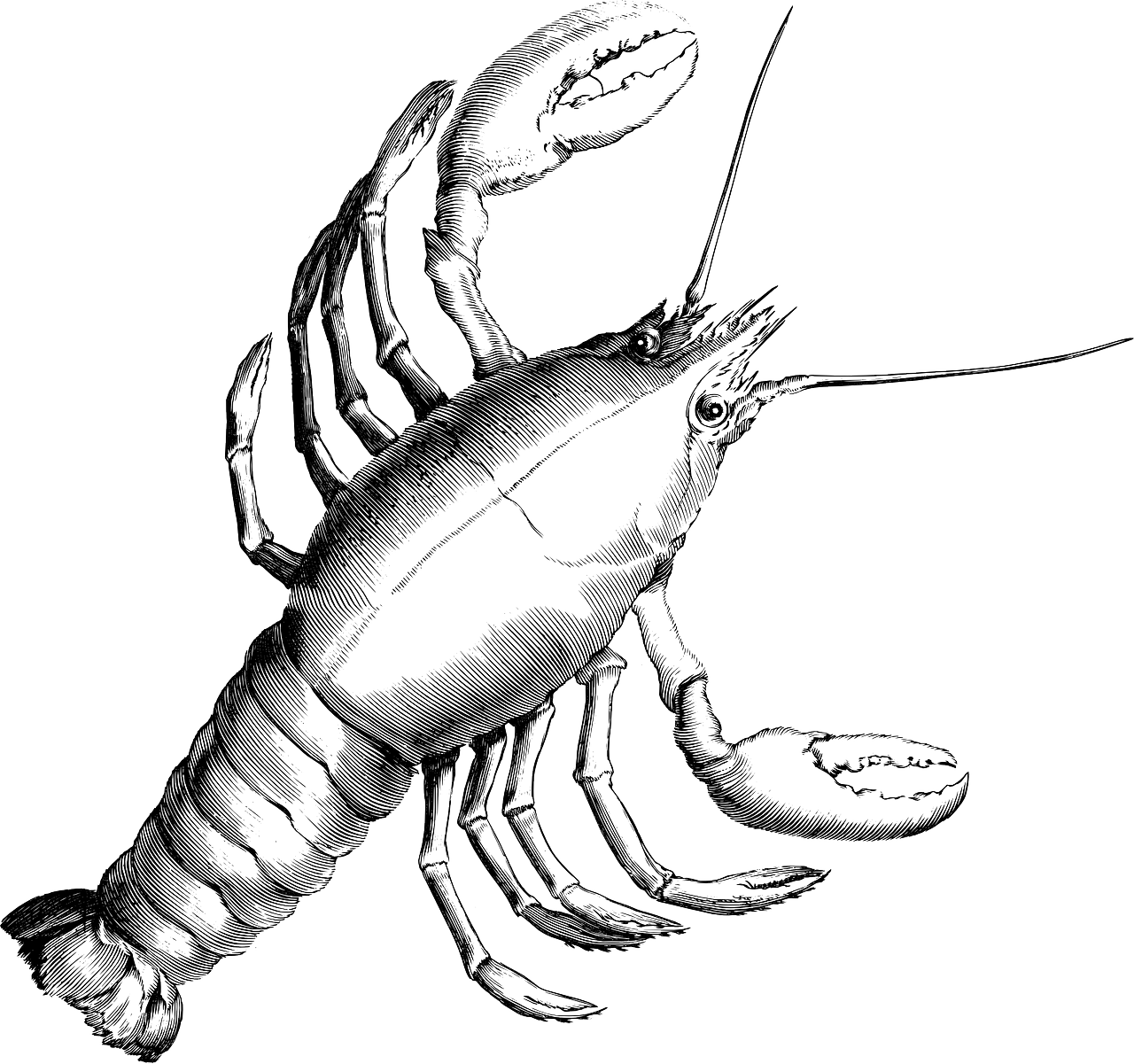 Cancer Constellation Astrological Sign Zodiac Clip - Cancer Constellation (1280x1201)