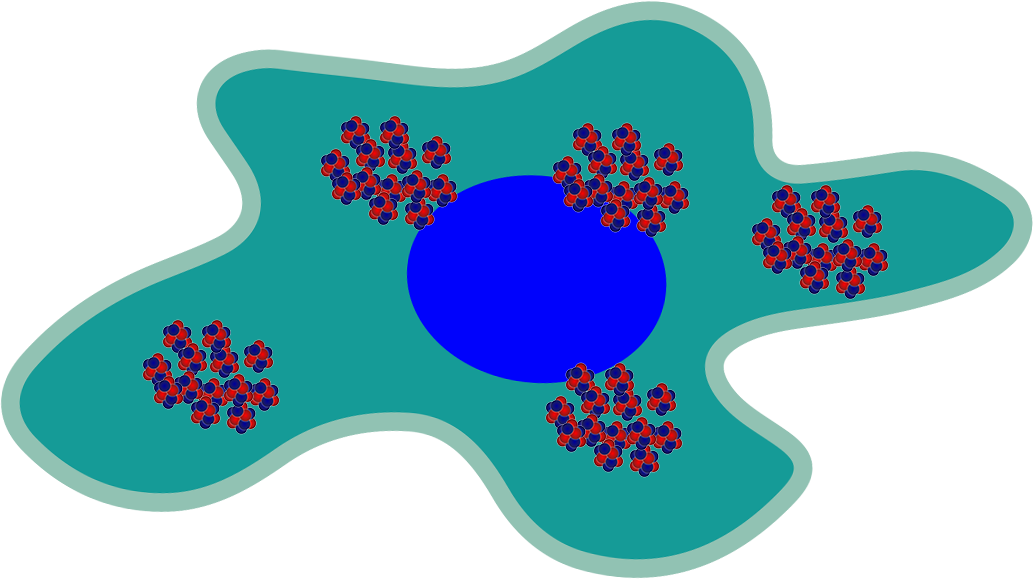 Boron-10 Accumulates In The Subject's Tumor Cells Continue - Guitar (1033x579)