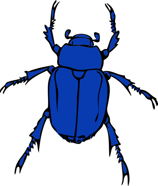 Blue Clipart Insect - Beetle Bug (600x702)