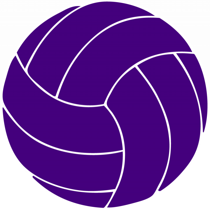 Volleyball Vector Art - Texas A&m Volleyball Logo (800x796)