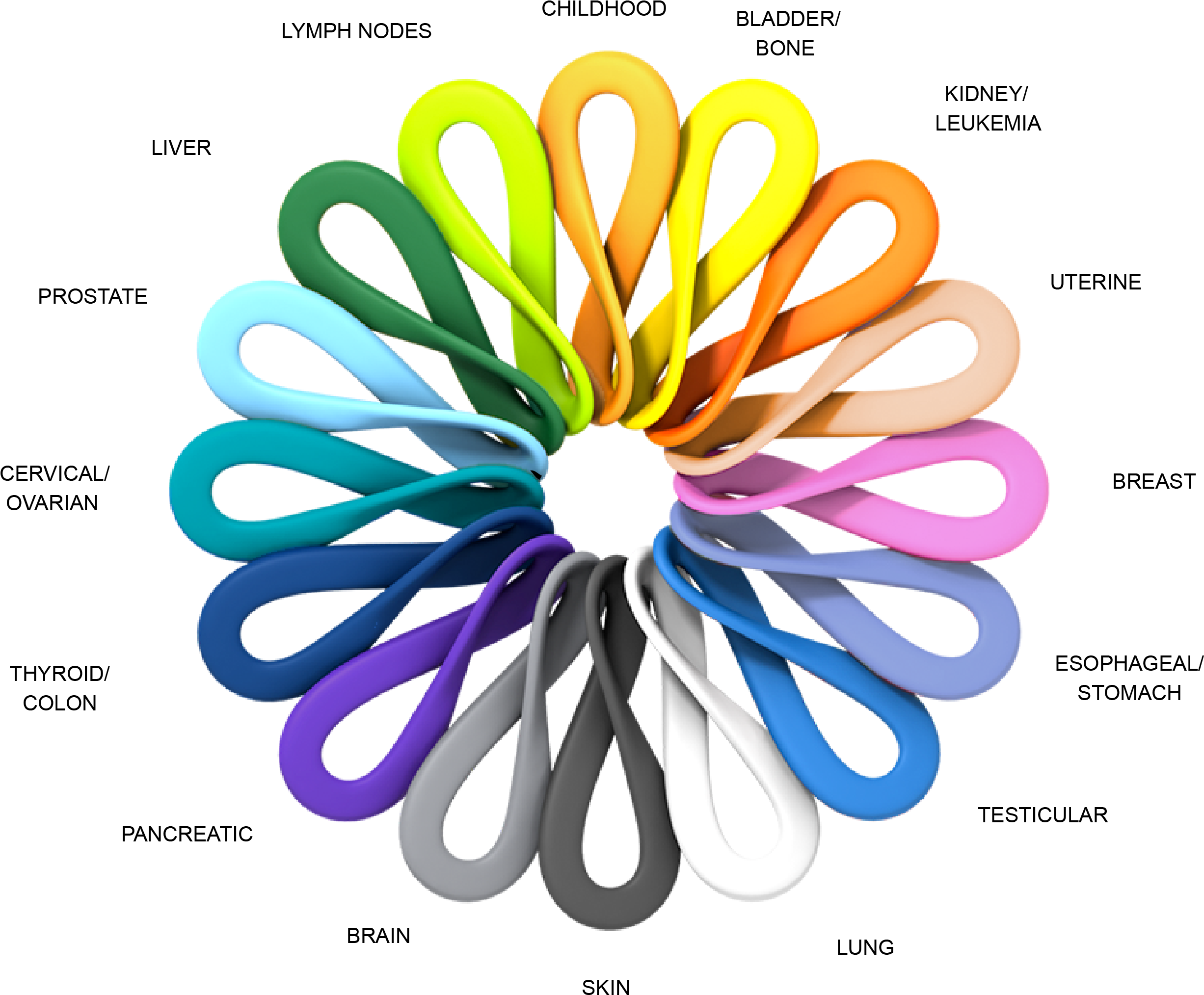 Cancer Color Wheel - Prima Medika Hospital (2466x2047)