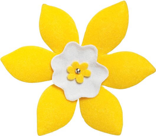April Is Daffodil Month - Canadian Cancer Society Daffodil (537x474)