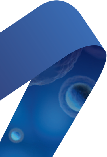 Unlock A World Of Potential With Mei By Your Side - Circle (718x550)